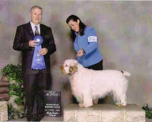 timercgroup1.jpg (224893 bytes)